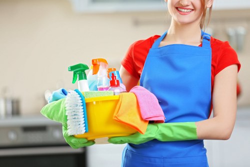 Professional upholstery cleaning for a sofa in SW17