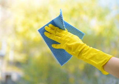 Thorough cleaning of a living space in SW17