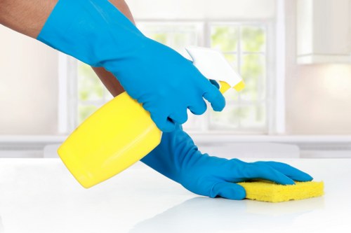 Staff training for professional cleaners in SW17