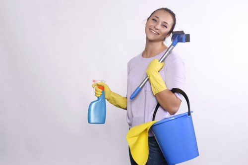 Kitchen and bathroom domestic cleaning service in SW17