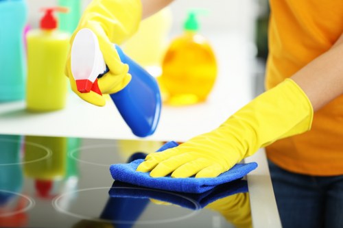 Regular cleaning service for flats and houses in SW17