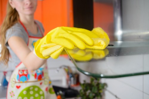 Weekly and fortnightly cleaning support for SW17 customers