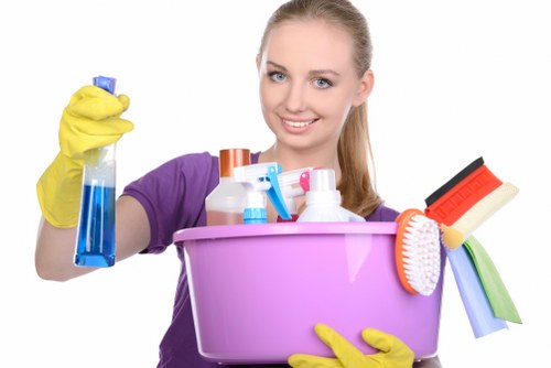 Accessibility support section for SW17 cleaners information